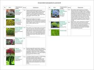 ландшафтный проект